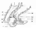 Fig. 01 - Device