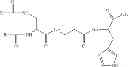Fig. 20 - Components for producing amphoteric liposomes