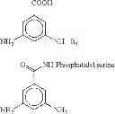 Fig. 26 - Components for producing amphoteric liposomes