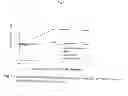Fig. 04 - Pharmaceutical composition for oral administration with a statin