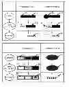 Fig. 01 - TEMPERATURE INDICATING PACKAGE AND METHOD OF USING