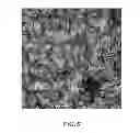 Fig. 06 - COMPOSITIONS AND METHODS FOR THE PREVENTION AND TREATMENT OF METABOLIC DISEASES