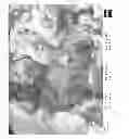Fig. 16 - COMPOSITIONS AND METHODS FOR THE PREVENTION AND TREATMENT OF METABOLIC DISEASES