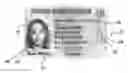 Fig. 01 - IDENTIFICATION DOCUMENT AND METHOD OF PRODUCING THE SAME