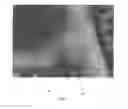 Fig. 06 - IDENTIFICATION DOCUMENT AND METHOD OF PRODUCING THE SAME