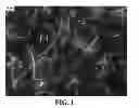 Fig. 02 - NANOWIRE PREPARATION METHODS, COMPOSITIONS, AND ARTICLES