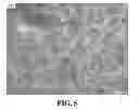 Fig. 06 - NANOWIRE PREPARATION METHODS, COMPOSITIONS, AND ARTICLES