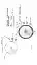 Fig. 02 - Synthetic beads/bubbles functionalized with molecules for attracting and attaching to mineral particles of interest