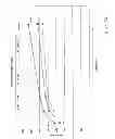 Fig. 35 - Anti-reflective coating for photolithography and methods of preparation thereof