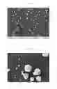 Fig. 02 - Composite silicon or composite tin particles