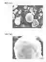 Fig. 06 - Composite active material for lithium secondary batteries and method for producing same