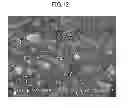 Fig. 11 - Composite active material for lithium secondary batteries and method for producing same