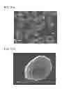 Fig. 12 - Composite active material for lithium secondary batteries and method for producing same