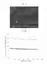 Fig. 13 - Composite active material for lithium secondary batteries and method for producing same