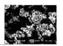 Fig. 01 - Glass particles