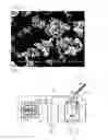 Fig. 03 - Glass particles