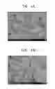 Fig. 05 - Solid ion conductor, solid electrolyte including the same, lithium battery including the solid electrolyte, and method of manufacturing the solid ion conductor