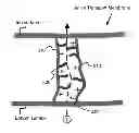 Fig. 01 - Anion transport membrane