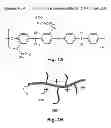 Fig. 02 - Anion transport membrane