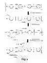 Fig. 03 - Anion transport membrane