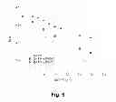 Fig. 06 - Anion transport membrane