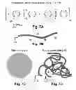Fig. 08 - Anion transport membrane