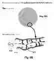 Fig. 09 - Anion transport membrane
