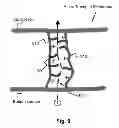 Fig. 10 - Anion transport membrane