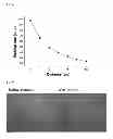 Fig. 05 - METHOD FOR MANUFACTURING CORROSION RESISTANT AND CONDUCTIVE NANO CARBON COATING LAYER AND FUEL CELL BIPOLAR PLATE THEREBY USING STAINLESS STEEL SUBSTRATE