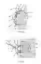 Fig. 05 - Multi-purpose dental bib