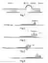 Fig. 02 - PROBE WITH MULTIPLE TARGET REGION SPECIFICITY AND OF TRIPARTITE CHARACTER