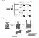 Fig. 02 - STABILIZED CHEMICAL DEHYDRATION OF BIOLOGICAL MATERIAL