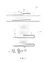 Fig. 02 - Mutation detection assay
