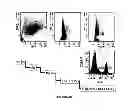 Fig. 29 - Methods and kits for determining DNA repair capacity