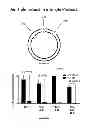 Fig. 40 - Methods and kits for determining DNA repair capacity