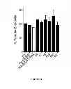 Fig. 41 - Methods and kits for determining DNA repair capacity
