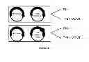 Fig. 44 - Methods and kits for determining DNA repair capacity