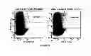 Fig. 45 - Methods and kits for determining DNA repair capacity