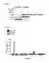 Fig. 08 - METHODS AND KITS USED IN IDENTIFYING MICRORNA TARGETS