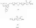 Fig. 02 - Posaconazole immunoassays