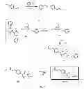 Fig. 04 - Posaconazole immunoassays