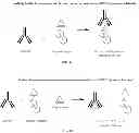 Fig. 06 - Posaconazole immunoassays