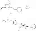 Fig. 09 - Posaconazole immunoassays