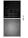 Fig. 22 - MULTI-BIOMARKER BIOSENSOR