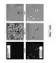 Fig. 37 - Engineered microbe-targeting molecules and uses thereof
