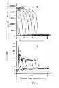 Fig. 06 - Method for determining the spatiotemporal distribution of activity of a proteolytic enzyme in a heterogeneous system (variations), a device for realizing same and a method for diagnosing the defects in the hemostatic system on the basis of a change in the spatiotemporal distribution of activity of a proteolytic enzyme in a heterogeneous system
