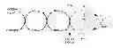 Fig. 01 - -demethyase genes and uses thereof