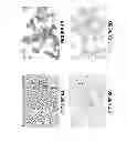 Fig. 06 - NOVEL TISSUE CULTURE PLATFORM FOR SCREENING OF POTENTIAL BONE REMODELING AGENTS