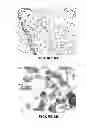 Fig. 08 - NOVEL TISSUE CULTURE PLATFORM FOR SCREENING OF POTENTIAL BONE REMODELING AGENTS