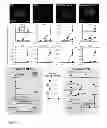Fig. 04 - Methods and materials for obtaining induced pluripotent stem cells
